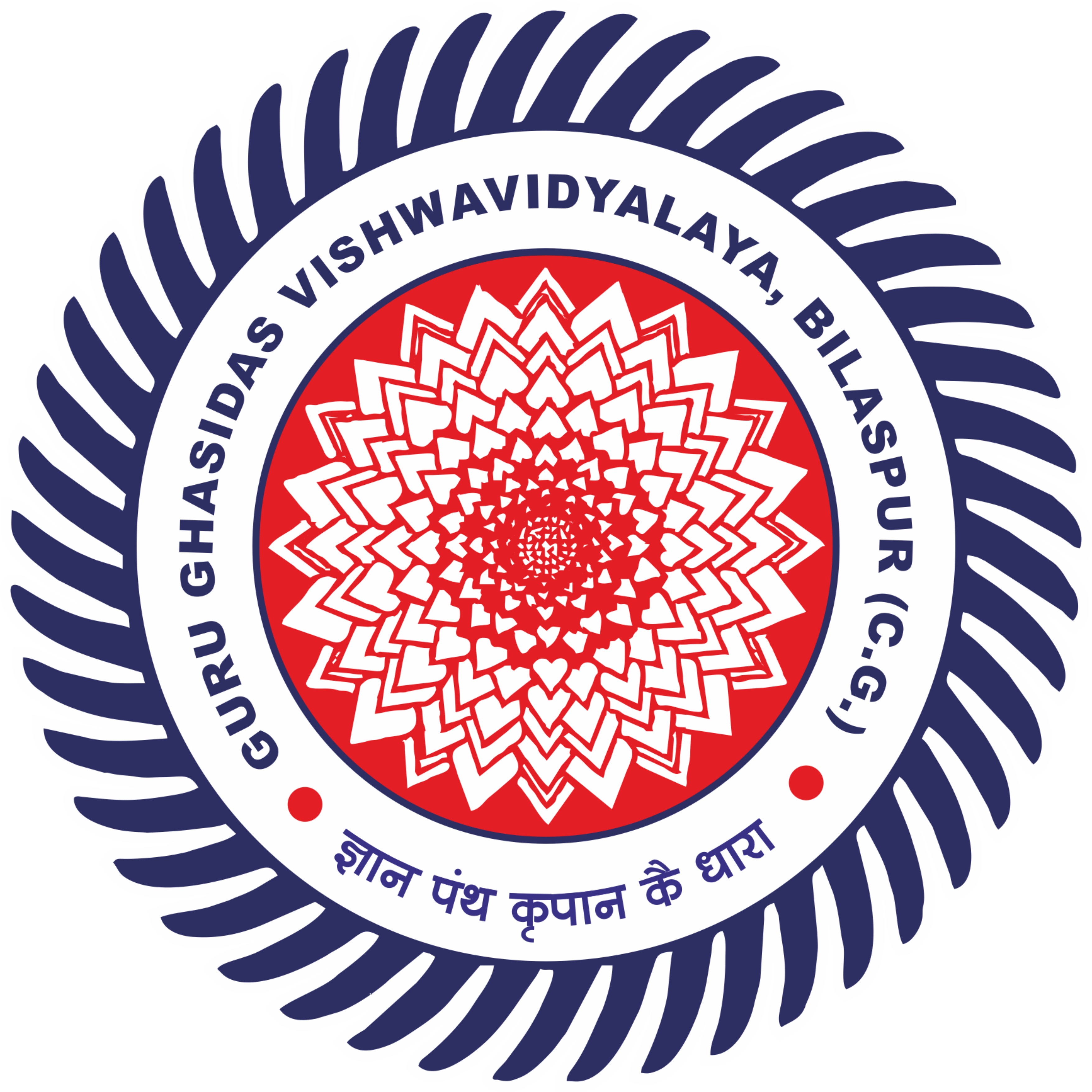Main Logo